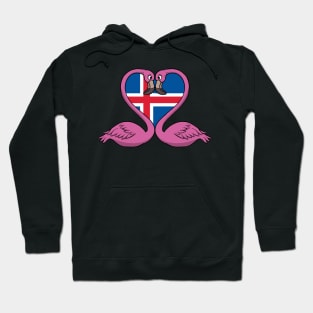 Flamingo Iceland Hoodie